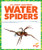 Water Spiders - 9798892136280 by Natalie Deniston, 9798892136280