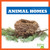 Animal Homes - 9798892136709 by Jenna Lee Gleisner, 9798892136709