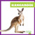 Kangaroos - 9798892135177 by Natalie Deniston, 9798892135177