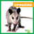 Opossums - 9798892135238 by Natalie Deniston, 9798892135238