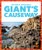 Giant's Causeway - 9798892135351 by Katie Chanez, 9798892135351