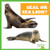 Seal or Sea Lion? - 9798892136884 by Lily Austen, 9798892136884
