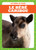 Le bébé caribou (Caribou Calves) (French Edition) by Genevieve Nilsen, 9781770925519
