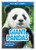 Giant Pandas - 9781645190035 by Martha London, 9781645190035