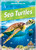 Sea Turtles - 9781645195658 by Colleen Sexton, 9781645195658