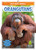 Orangutans - 9781645196211 by Renata Marie, 9781645196211
