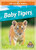 Baby Tigers - 9781645197102 by Colleen Sexton, 9781645197102
