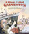 A Place Called Galveston by Andrea Shapiro, Valerya Milovanova, 9781681156545