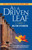 As a Driven Leaf: Foreword by Dara Horn (Foreword by Dara Horn) by Milton Steinberg, Dara Horn, David Wolpe, Chaim Potok, 9781681151748