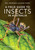 A Field Guide to Insects of Australia by Ross Storey, Paul Zborowski, 9781760796402
