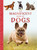 The Magnificent Book of Dogs by Kim Dennis-Bryan, Simon Treadwell, 9798886740356