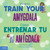 How to Train Your Amygdala / Cómo entrenar tu amígdala (Bilingual Edition) by Anna Housley Juster, Cynthia Cliff, 9798330913848