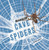 Cave Spiders - 9798875224690 by Lisa J. Amstutz, 9798875224690