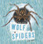 Wolf Spiders - 9798875224973 by Lisa J. Amstutz, 9798875224973 Wolf Spiders - 9798875224973 by Lisa J. Amstutz, 9798875224973