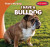 I Have a Bulldog by Benjamin Proudfit, 9781482469929