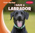 I Have a Labrador - 9781482469998 by Benjamin Proudfit, 9781482469998