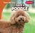 I Have a Poodle by Benjamin Proudfit, 9781482470017