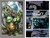 Teenage Mutant Ninja Turtles: The IDW Collection Volume 8 - 9798887243146 by Tom Waltz, Kevin Eastman, Ben Bates, Dustin Weaver, Damien Couceiro