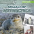 Animals of Antarctica by Natalie Humphrey, 9781978543058