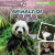 Animals of Asia by Natalie Humphrey, 9781978543089 Animals of Asia by Natalie Humphrey, 9781978543089
