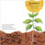 Pop-Up Peekaboo! Tree by DK, 9780593971994