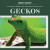 Geckos - 9781725352865 by Jagger Youssef, 9781725352865
