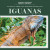 Iguanas - 9781725352926 by Jagger Youssef, 9781725352926