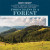 Food Chains in a Forest - 9781538312568 by Rosie Banks, 9781538312568