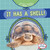 It Has a Shell! - 9781482470826 by Kathleen Connors, 9781482470826