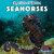 Seahorses - 9781499451535 by Theresa Emminizer, 9781499451535