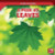 A Peek at Leaves by Doug Bradley, 9781499452006