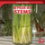 A Peek at Stems - 9781499452075 by Doug Bradley, 9781499452075