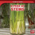 A Peek at Stems - 9781499452075 by Doug Bradley