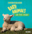 Baby Animals on the Farm by Sarah Ridley, 9781499453645 Baby Animals on the Farm by Sarah Ridley, 9781499453645