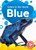 Blue - 9798893047097 by Rachael Barnes, 9798893047097