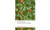 The Small House at Allington by Anthony Trollope, Dinah Birch, 9780199662777 The Small House at Allington by Anthony Trollope, Dinah Birch, 9780199662777