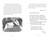 The Treasure of Ocean Parkway - 9780593809822 by Sarvenaz Tash