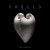 Shells - 9791254600825 by Paolo Portoghesi, Paul Starosta, 9791254600825