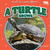 A Turtle Grows by Rex Ruby, 9798892329972