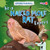 Be a Naked Mole Rat Expert by Alex Hall, 9798895770078