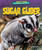 Sugar Glider by Rachel Rose, 9798895770481