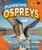 Plunging Ospreys by Jenna Grodzicki, 9798895770573