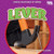 Lever - 9798895774304 by Martha London, 9798895774304