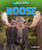 Moose - 9798895774700 by Rachel Rose, 9798895774700