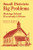 Small Districts, Big Problems (Making School Everybody′s House) by Richard A. Schmuck, Patricia A. Schmuck, 9780803960251