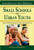 Small Schools and Urban Youth (Using the Power of School Culture to Engage Students) by Gilberto Q. Conchas, Louie F. Rodriguez, 9781412939348