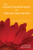 The Legal Foundations of Special Education (A Practical Guide for Every Teacher) by Jim Ysseldyke, Bob Algozzine, 9781412938952