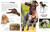 Eyewitness Dog by DK, 9798217125364
