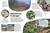 Eyewonder Rainforest (Open Your Eyes to a World of Discovery) by DK, 9780593972045