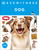 Eyewitness Dog - 9780593972168 by DK, 9780593972168